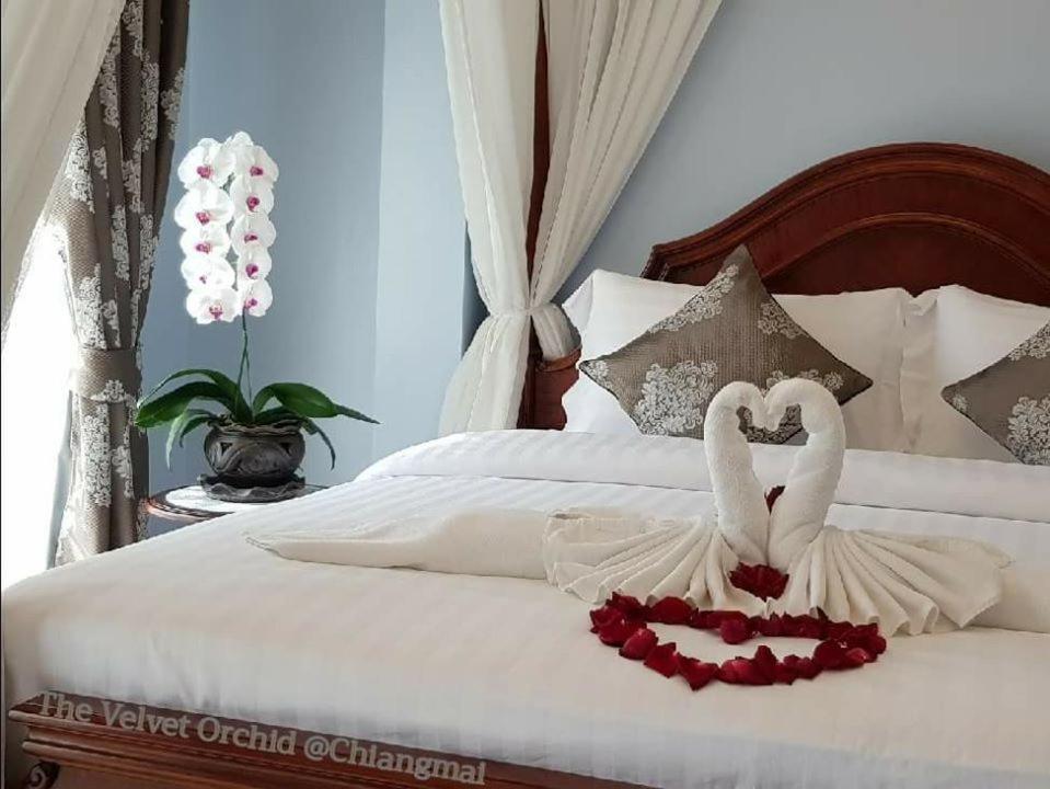 Hotel The Velvet Orchid à Chiang Mai Extérieur photo